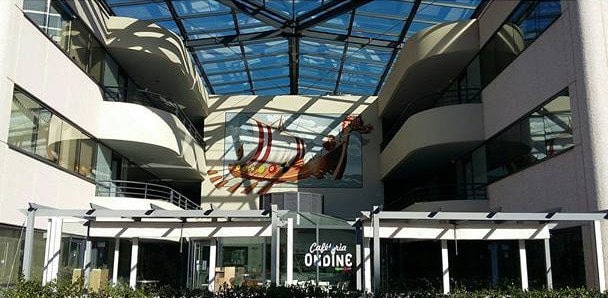 Kopain Kopine — photo 2