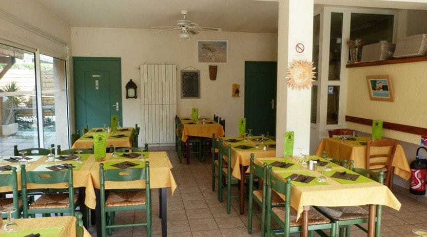 Les Mimosas — photo 4