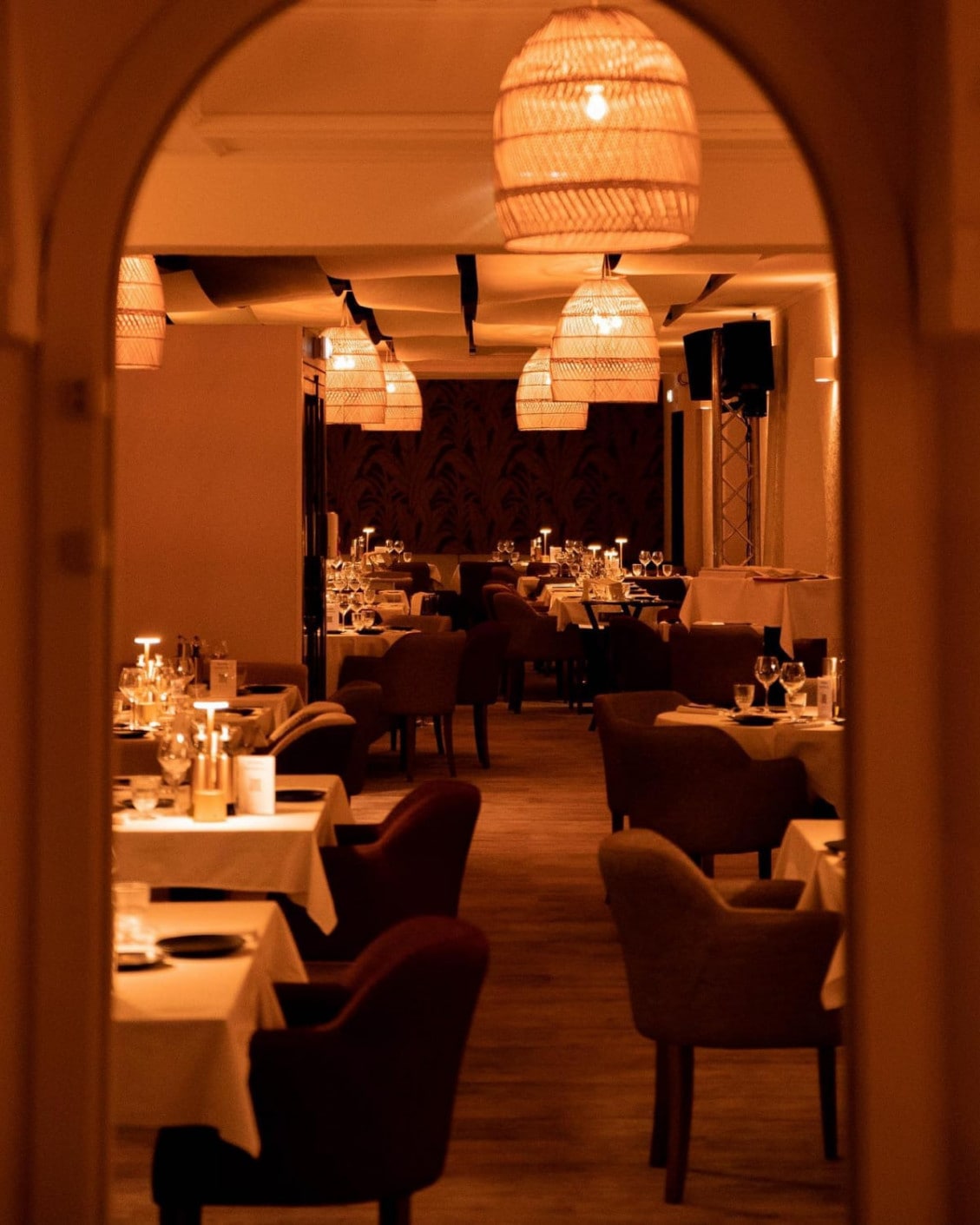 Zingara — photo 3