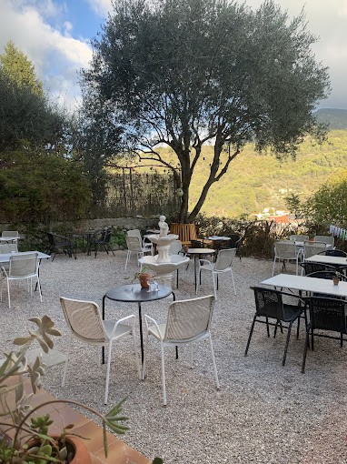 Le Jardin — photo 3
