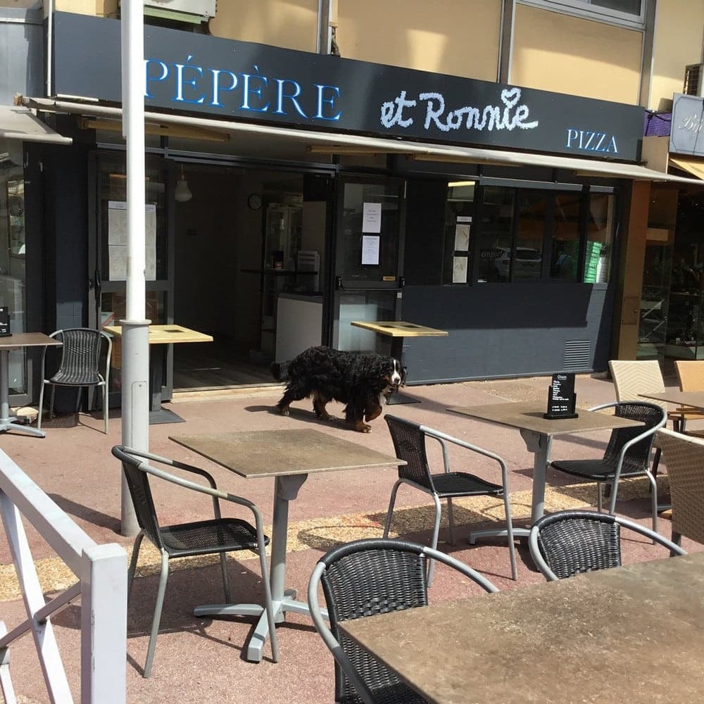 Pépère et Ronnie — photo 3