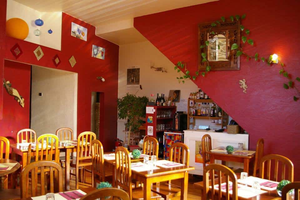 Le Gecko — photo 3
