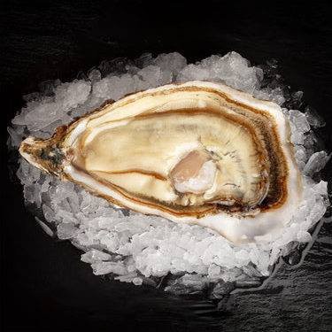 Le Poulpe Du Lac — Bistro - Bar à Sainte Croix Volvestre — photo 3