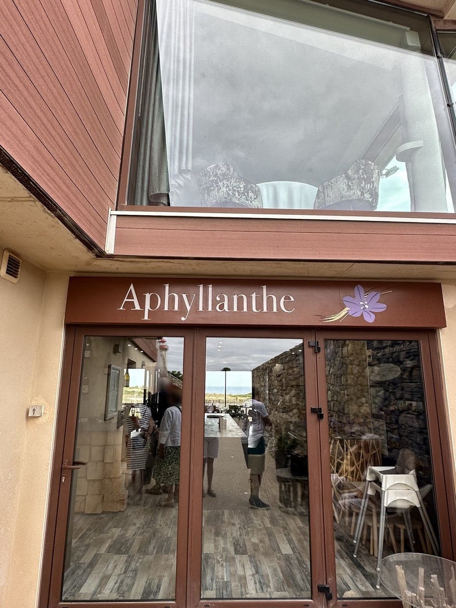 Aphyllanthe — photo 2