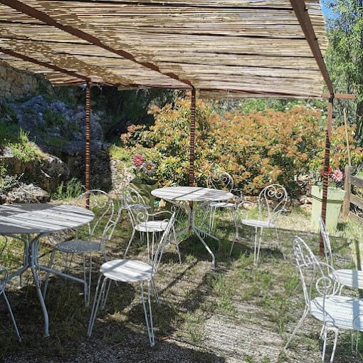 Le Bistrot des Amis — photo 3