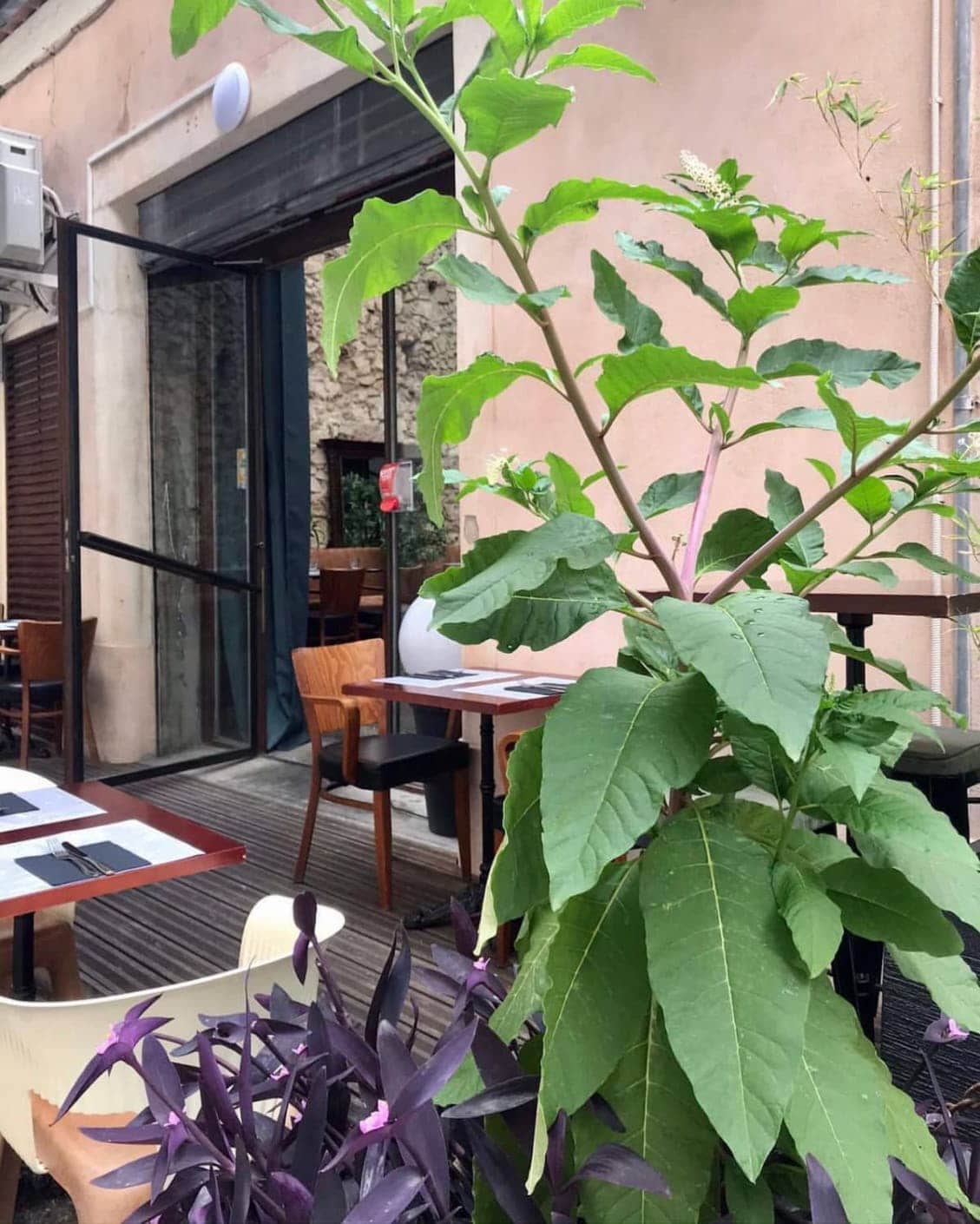 Fratelli — photo 3