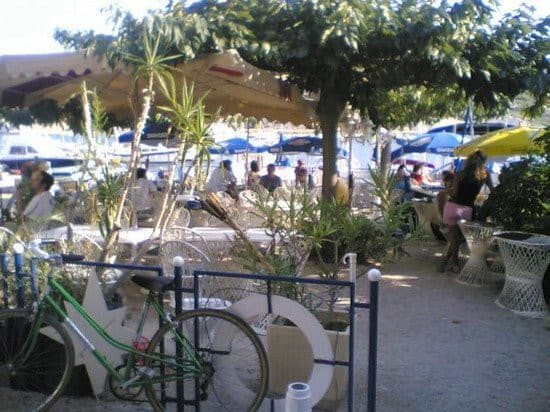 Le kaï-kaï — photo 2