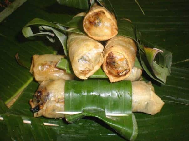 Payotte Tropic — photo 2