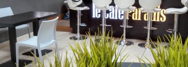 Le Café Paradis — photo 2