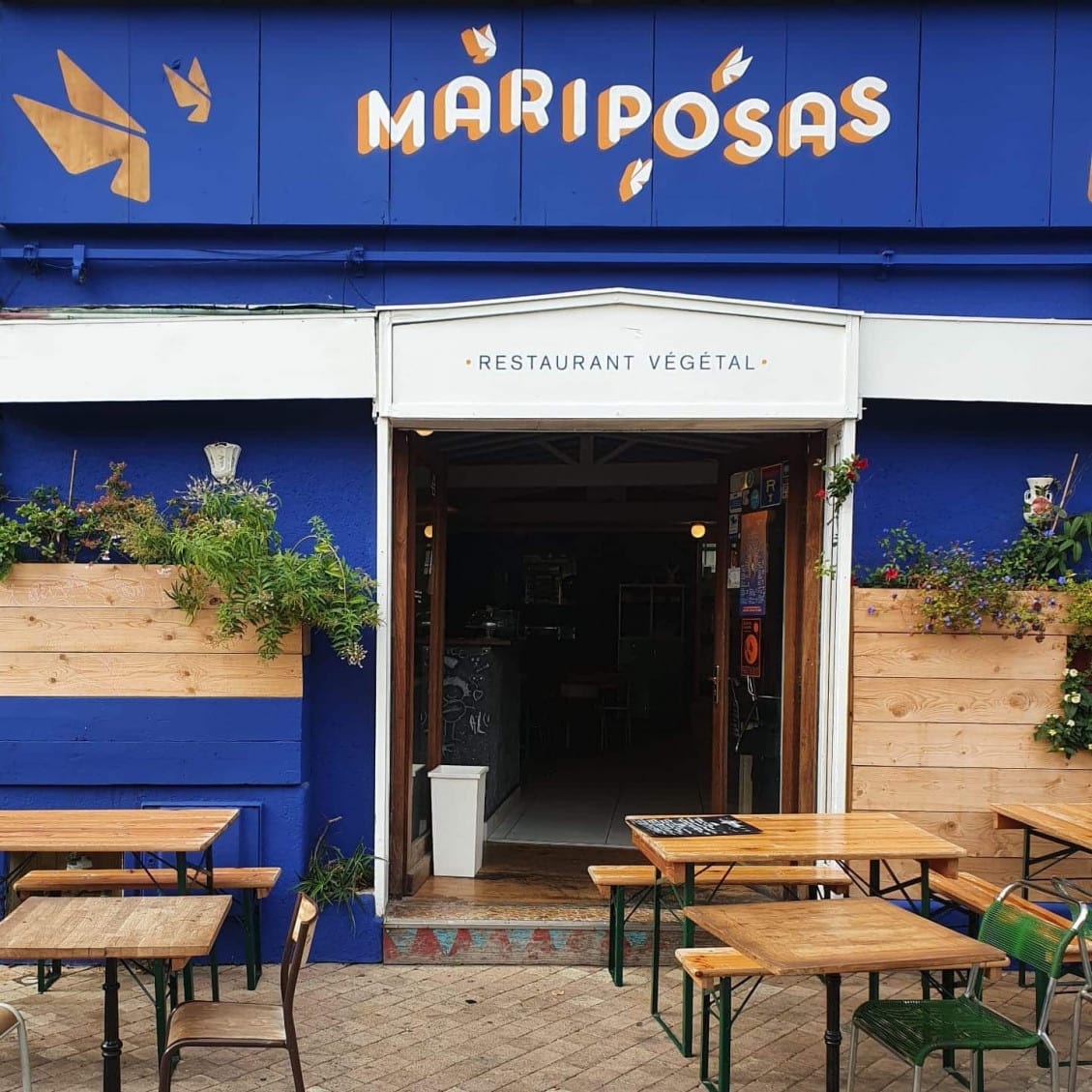 Mariposas — photo 3