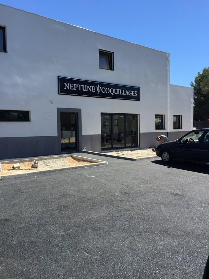 Photo de Coquillages Neptune