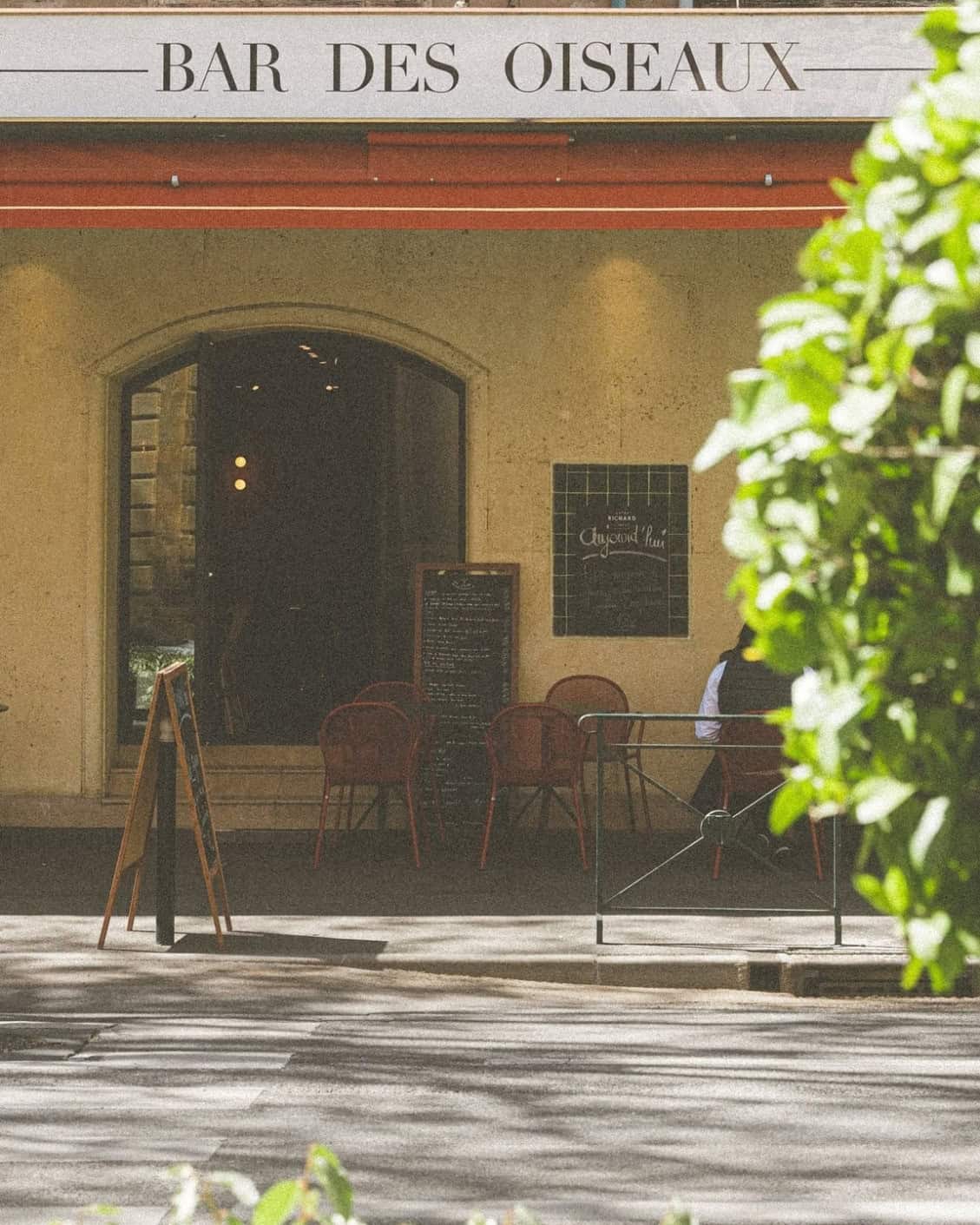 Bar des Oiseaux — photo 2