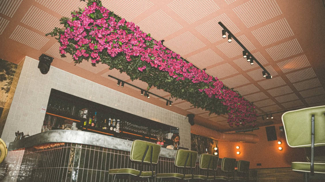 Bar des Oiseaux — photo 3