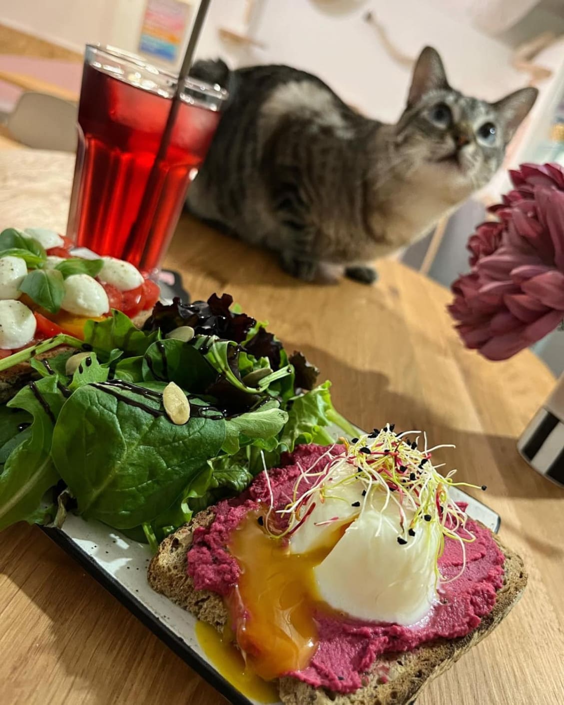 Photo de Meow Cats Café