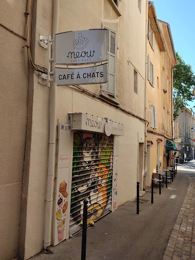 Meow Cats Café — photo 2