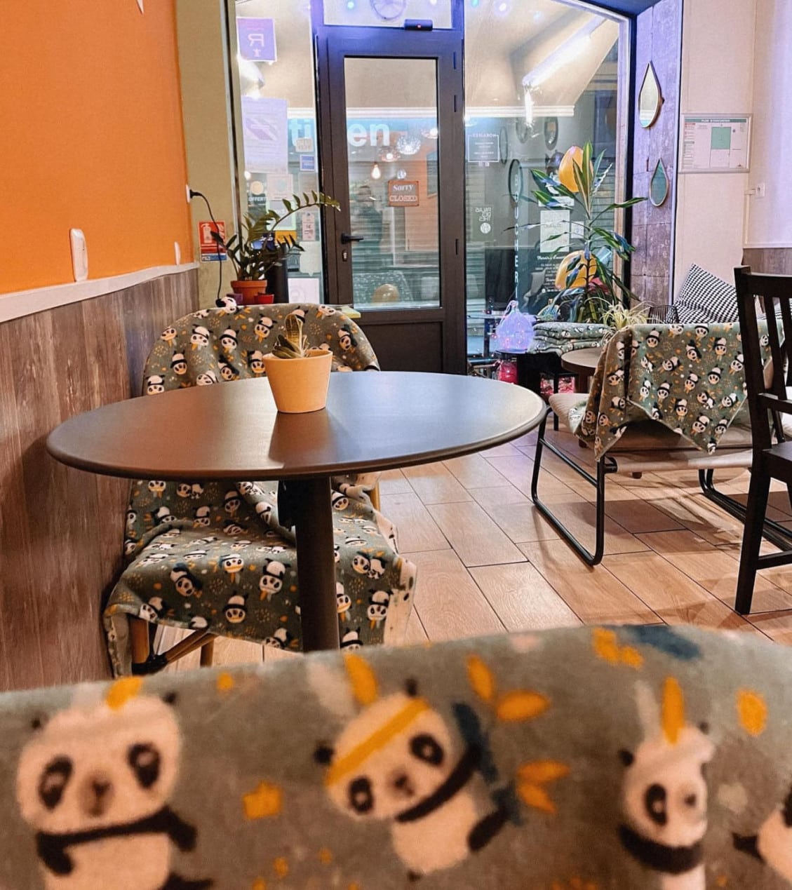 Sweet Panda — photo 2