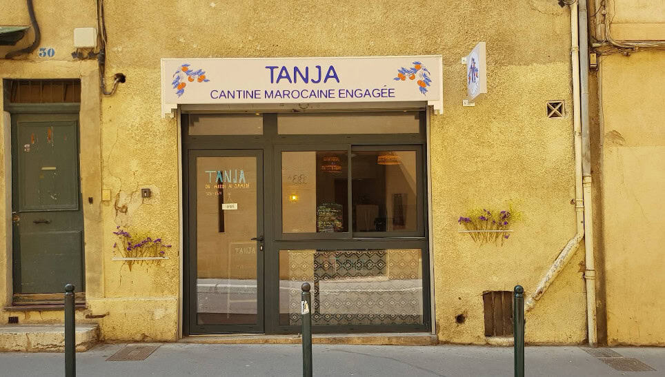 Tanja — photo 3
