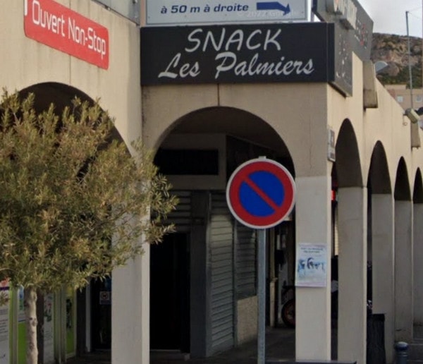 Les palmiers — photo 2