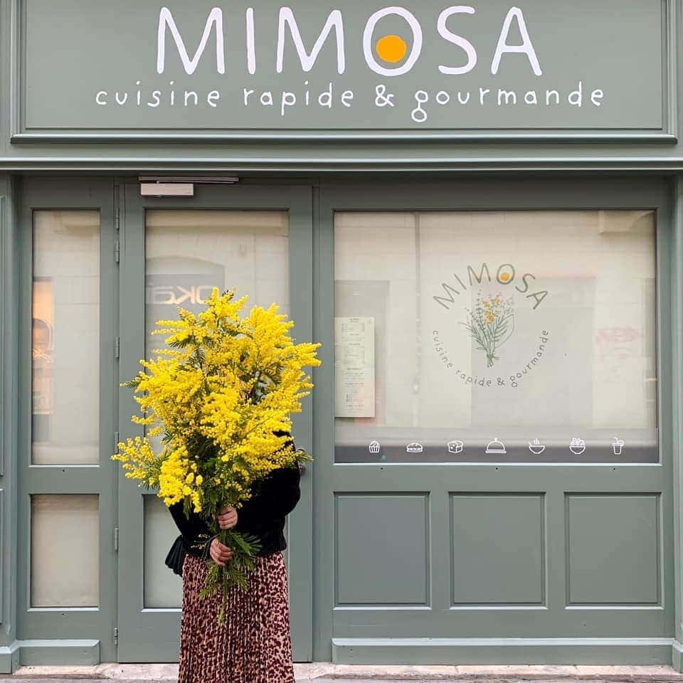Mimosa — photo 2