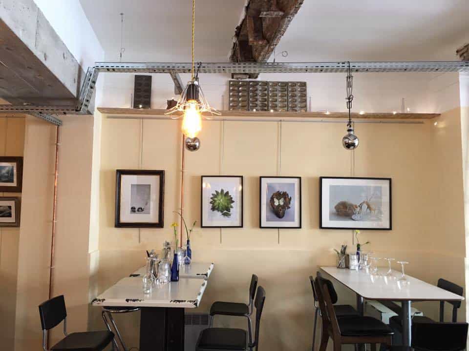 Oscar — photo 3