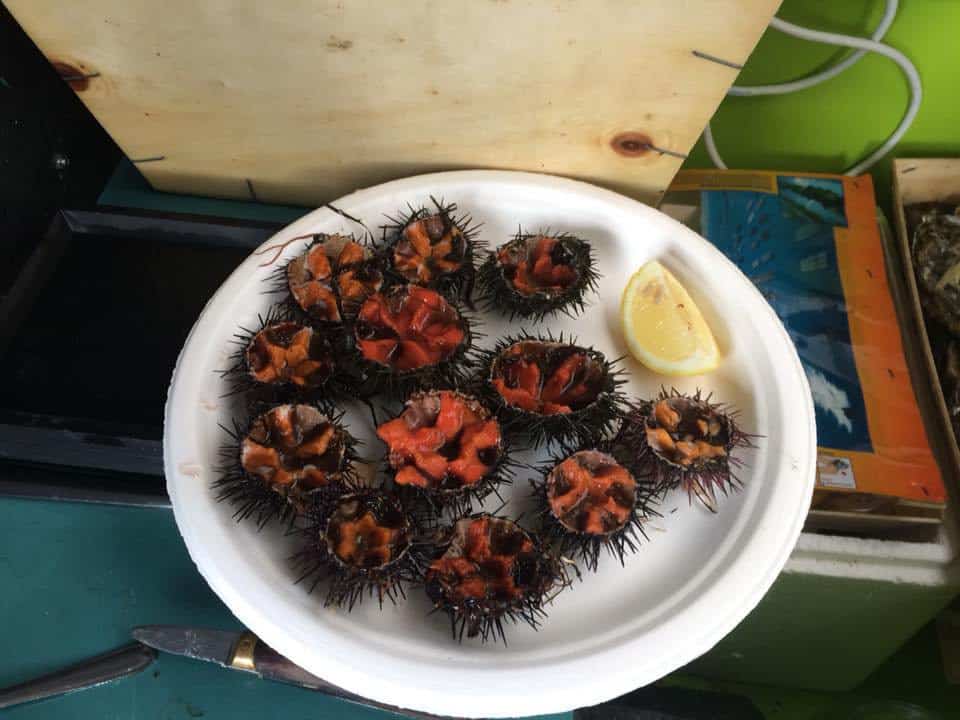 Le Zinc à Huitres — Poissons et fruits de mer à Salon de Provence — photo 3
