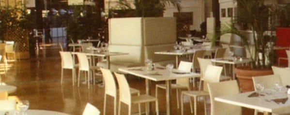 La terrasse — photo 3