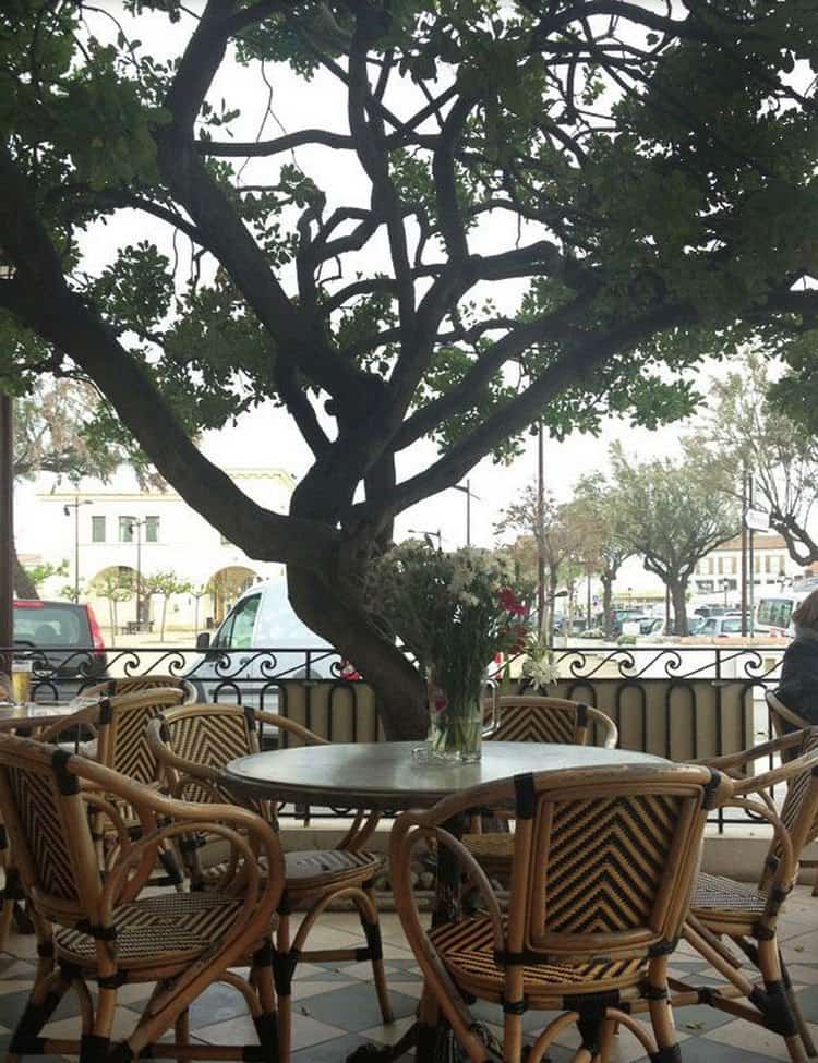 La Bodega Kalhua — photo 4