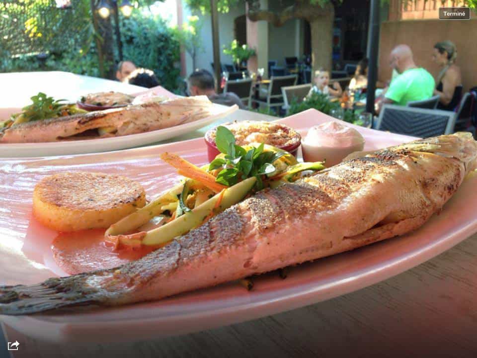 Gusto caffe — photo 3