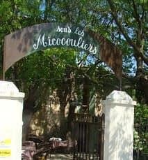 Sous les micocouliers — photo 2