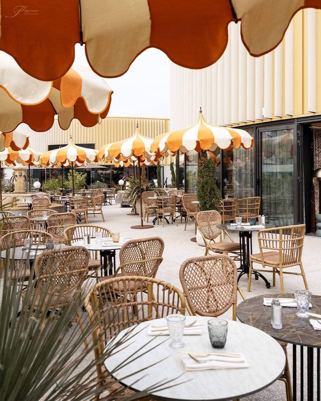 Musa Giorgia — Restaurant Italien à Ifs — photo 2