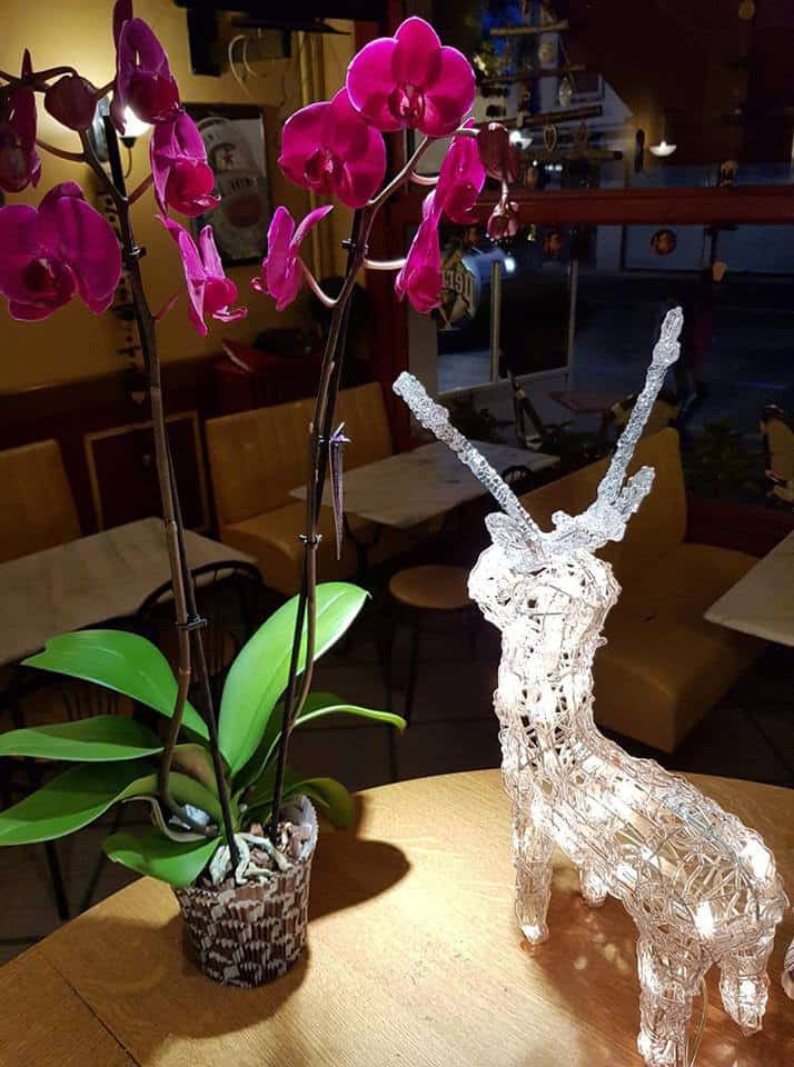Brasserie du Theatre — photo 3