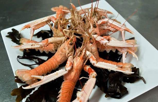 Restaurant Fleur de Sel — Poissons et fruits de mer à Port en Bessin Huppain — photo 3
