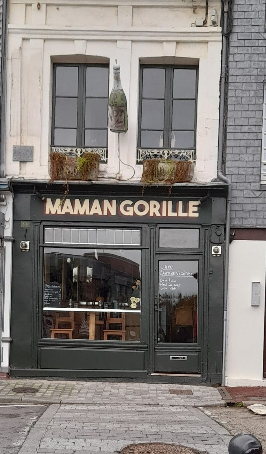 Maman Gorille — photo 2