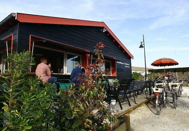 Coquillages et crustacés — Poissons et fruits de mer à L' Houmeau — photo 2