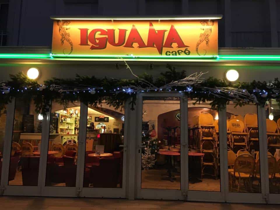 Iguana Café — photo 2