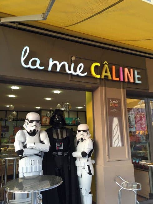 La mie câline — photo 2