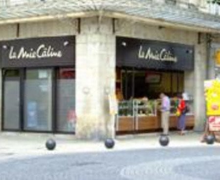 La mie câline — photo 2
