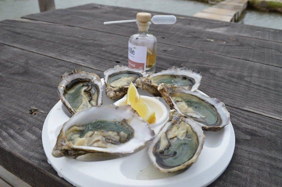 17 Fort Royer, — Poissons et fruits de mer à Saint Pierre d'Oleron — photo 3