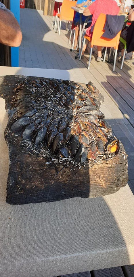 L'écume De Mer — Poissons et fruits de mer à Marennes-Hiers-Brouage  — photo 2