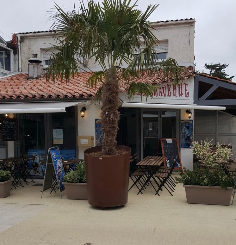 Burger Avenue — photo 3