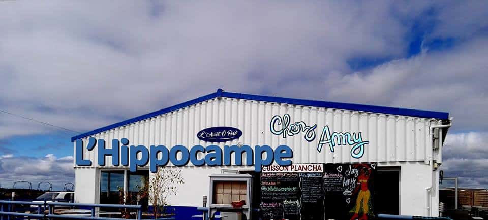 L'hippocampe chez Amy — photo 2