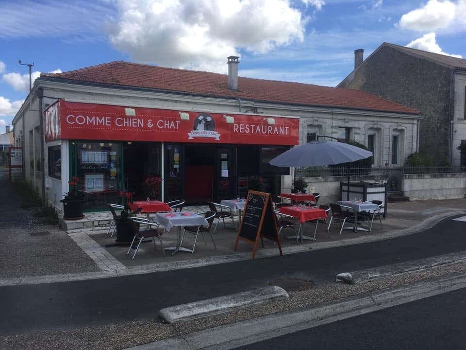 Comme chien et chat — photo 3