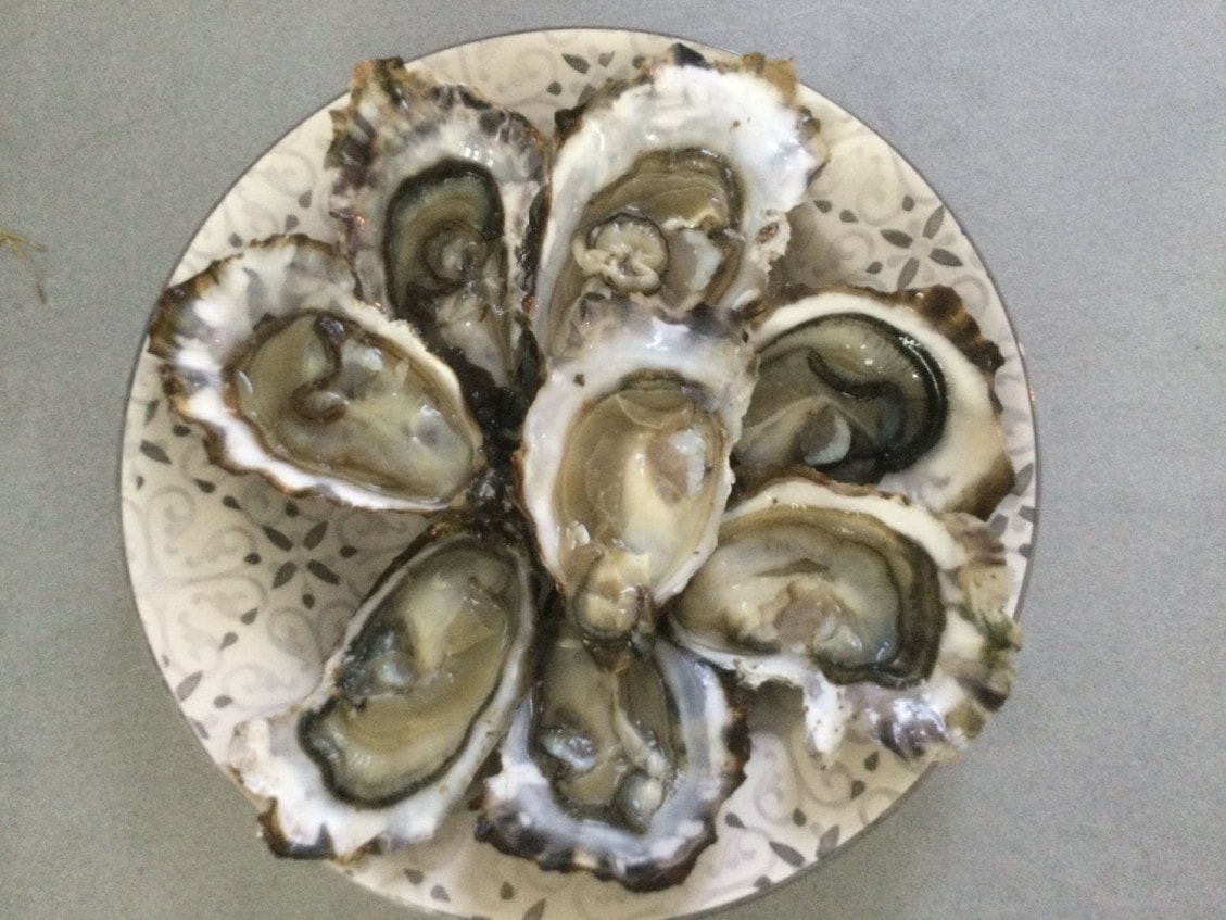Les Marais de Salamine — Poissons et fruits de mer à Dolus d'Oleron — photo 2