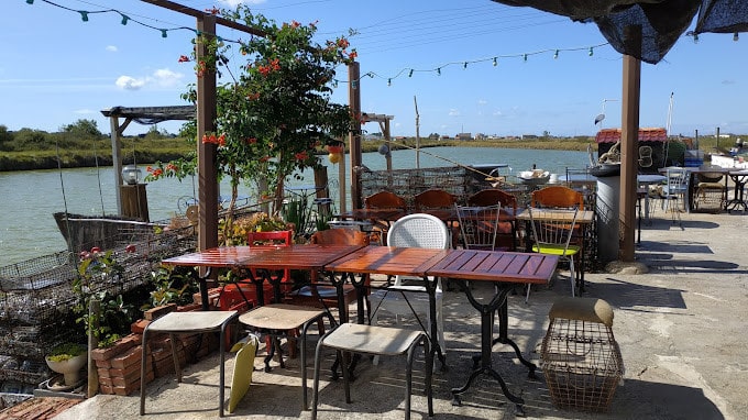 Ferme des Aubains — Poissons et fruits de mer à Breuillet — photo 3