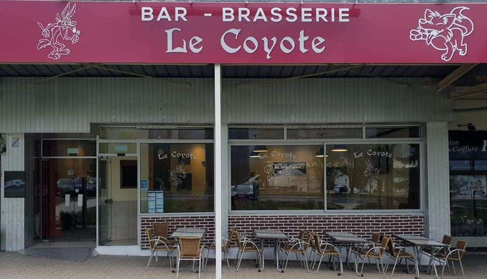Le coyote — photo 2