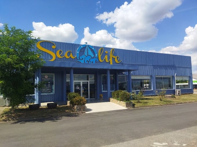 Sealife — photo 3