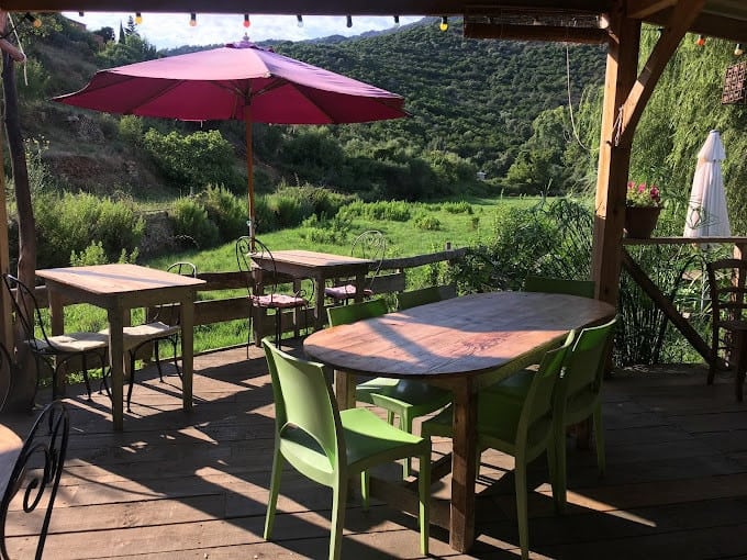 Gobi Caffè — photo 3