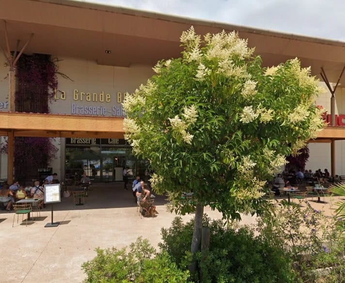 La Grande Brasserie — photo 3