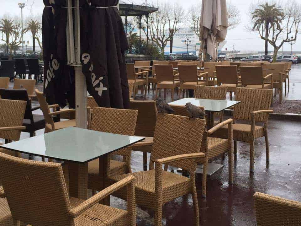 Café de la Paix — photo 2