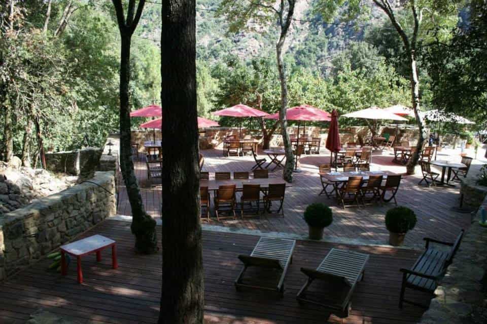 Auberge de la forêt — photo 2